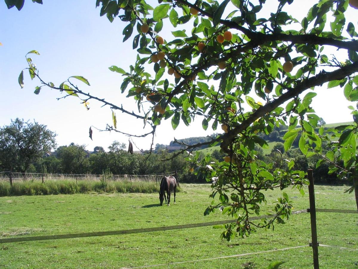 4 Collines Bed and Breakfast Hagnicourt Exteriör bild